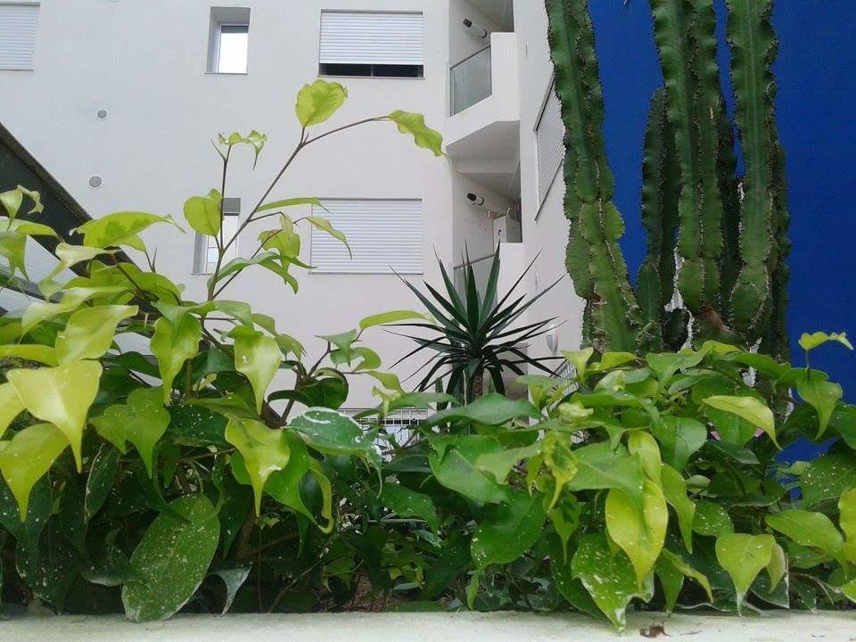 Le lagon de Hammamet Chambre photo